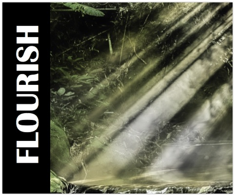 Flourish by the river Christian Poem